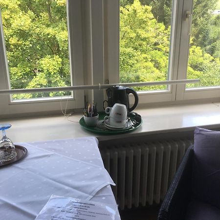 Gasthaus Zum Loewen - Restaurant Akropolis Hausach Zewnętrze zdjęcie